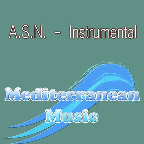 Instrumental