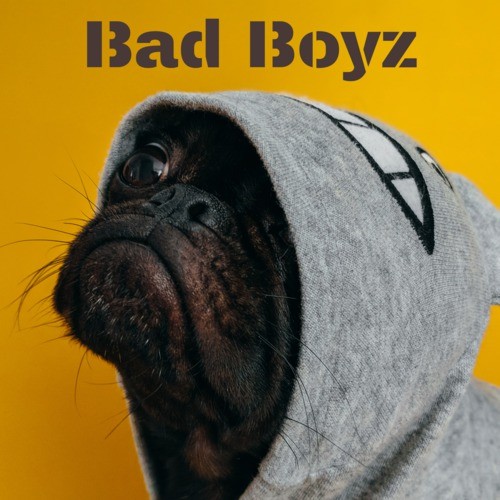 Bad Boyz