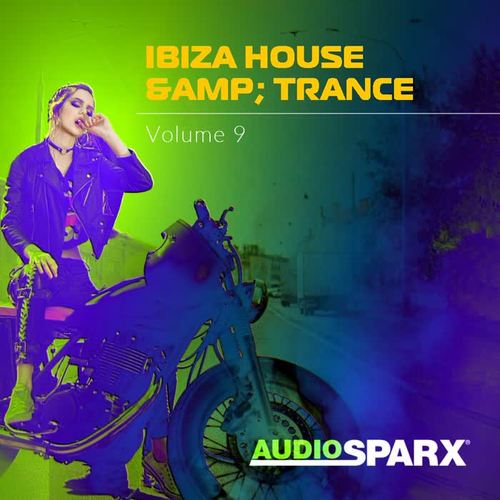 Ibiza House & Trance Volume 9