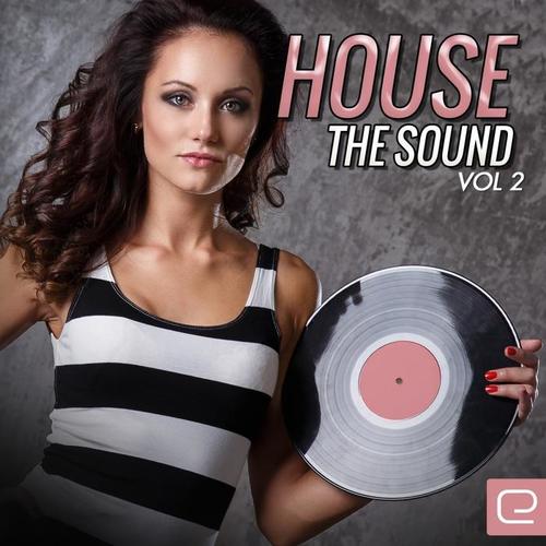 House The Sound, Vol. 2