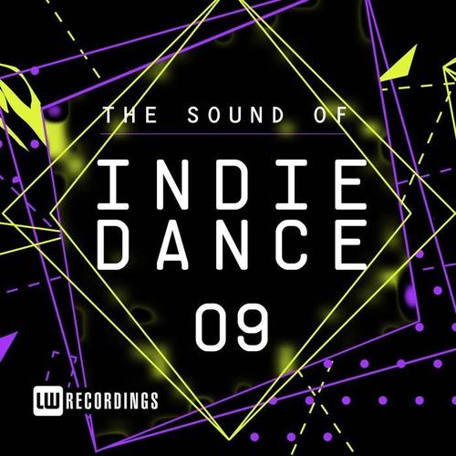 The Sound Of Indie Dance, Vol. 09