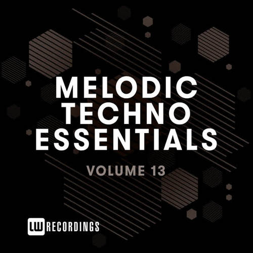 Melodic Techno Essentials, Vol. 13