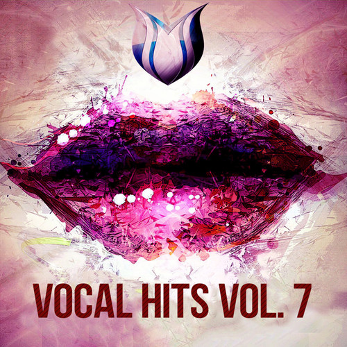 Vocal Hits, Vol. 7