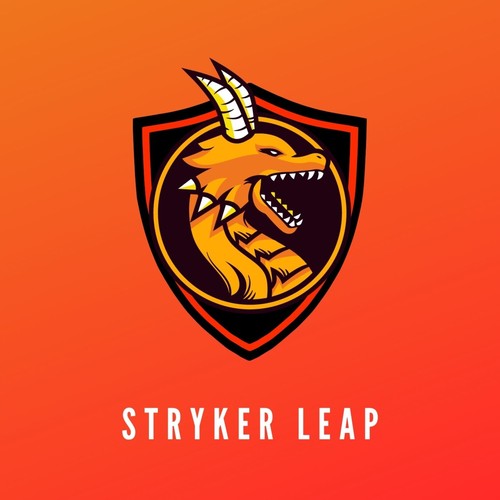 Stryker Leap