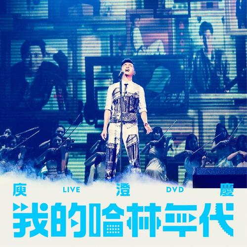 我的哈林年代演唱会