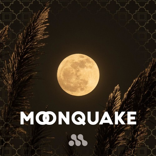 Moonquake