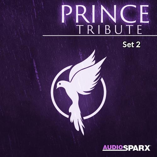 Prince Tribute, Set 2