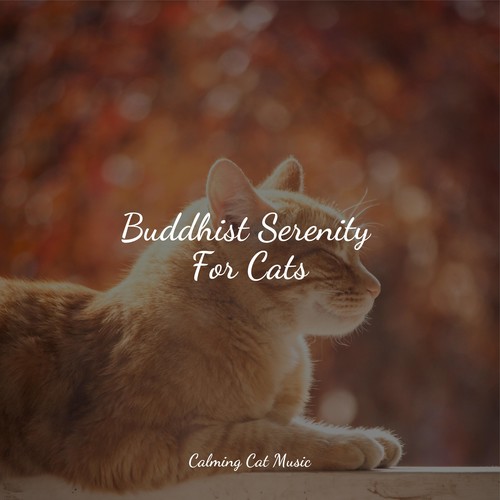 Buddhist Serenity For Cats