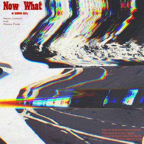 Now What (feat. Danny P) [Explicit]