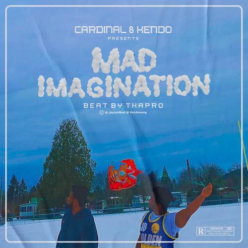 MAD IMAGINATION