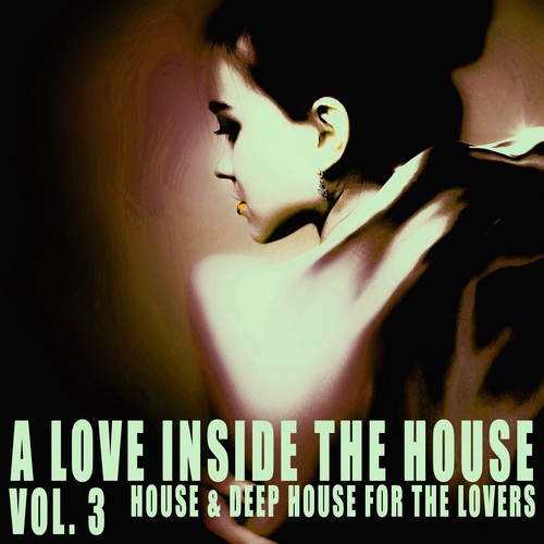 A Love Inside the House, Vol. 3