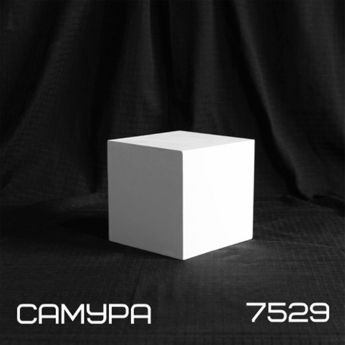 7529 (Explicit)