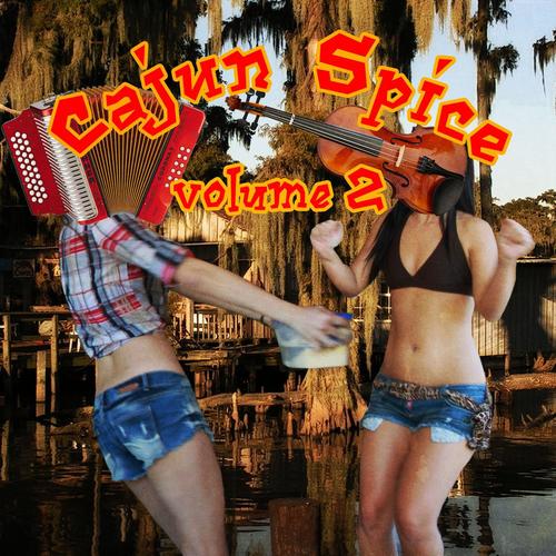 Cajun Spice, Vol. 2