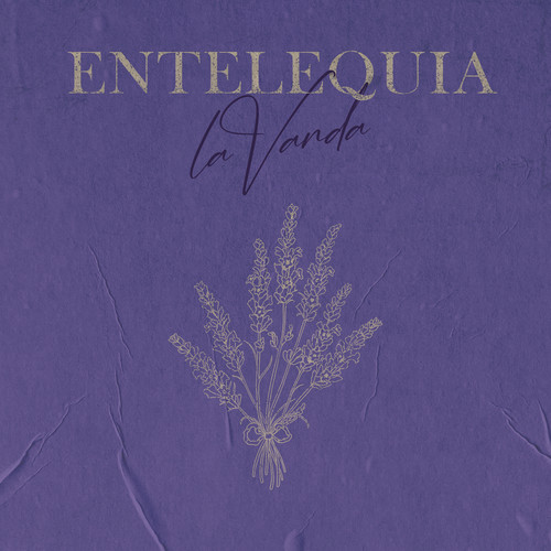 Lavanda