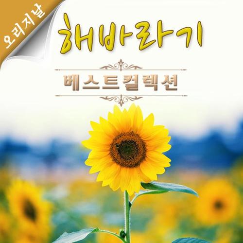 오리지날 해바라기 베스트 컬렉션