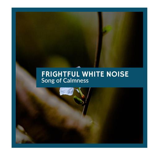 Frightful White Noise - Song of Calmness