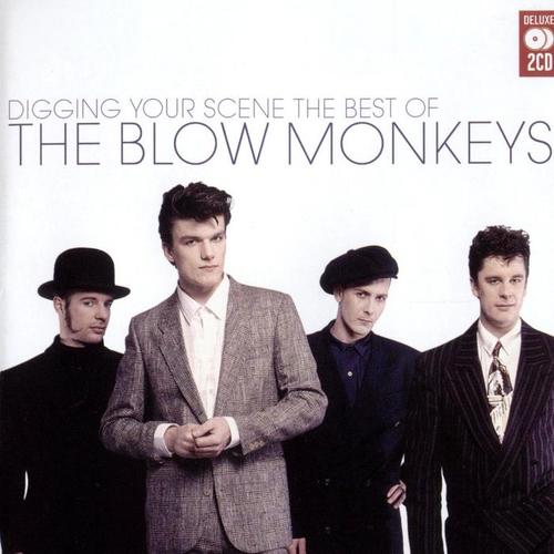 Digging Your Scene: The Best of The Blow Monkeys