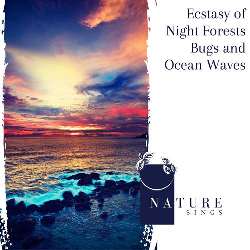 Ecstasy of Night Forests Bugs and Ocean Waves