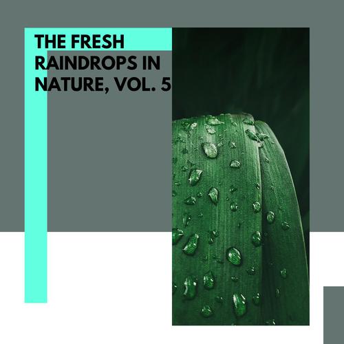 The Fresh Raindrops in Nature, Vol. 5