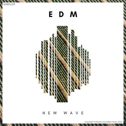 EDM New Wave 4 (Radio Edits)