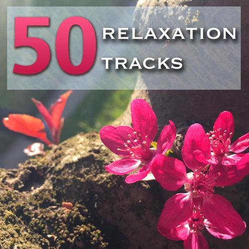 50 Relaxation Tracks - Calm Your Mind, Prepare for Relax Techniques and Meditation