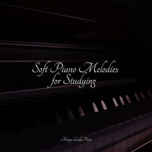 Soft Piano Melodies for Studying