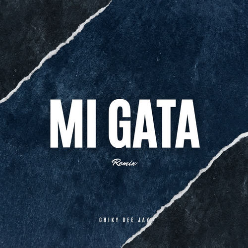 Mi Gata (Remix)