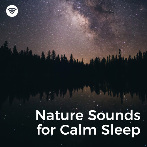 Nature Sounds for Calm Sleep