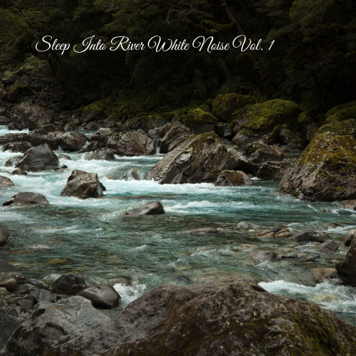 Sleep Into River White Noise Vol. 1