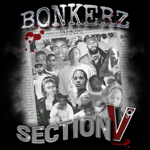 Section V (Explicit)