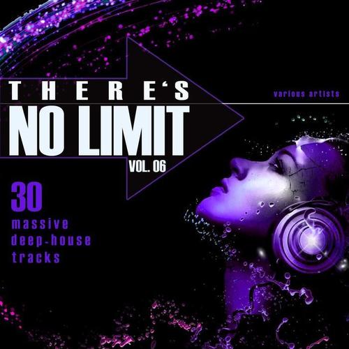 THERE'S NO LIMIT, VOL. 6 (30 massive deep-house tracks)