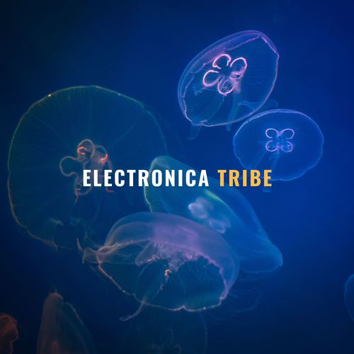 Electronica Tribe