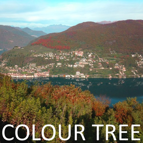 Colour Tree