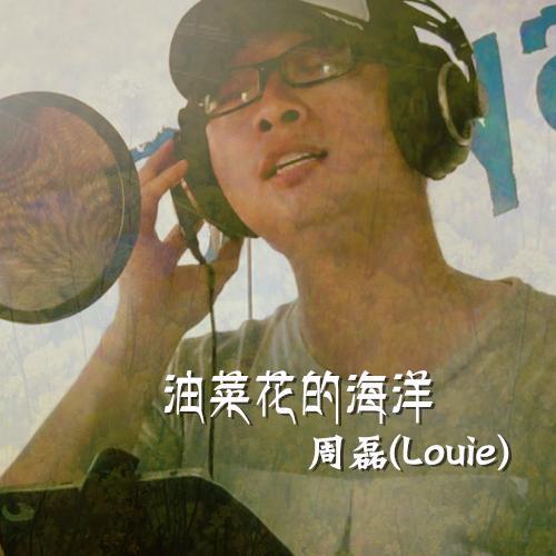 油菜花的海洋