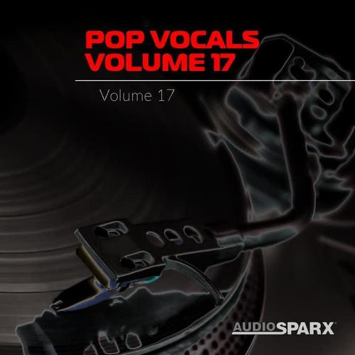 Pop Vocals Volume 17