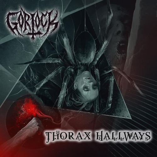 Thorax Hallways (Explicit)