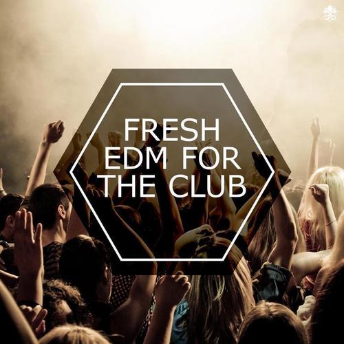 Fresh EDM For The Club