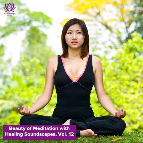 Beauty of Meditation with Healing Soundscapes, Vol. 12