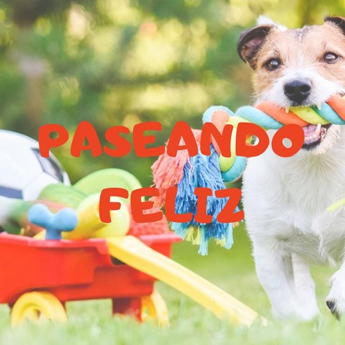 PASEANDO FELIZ