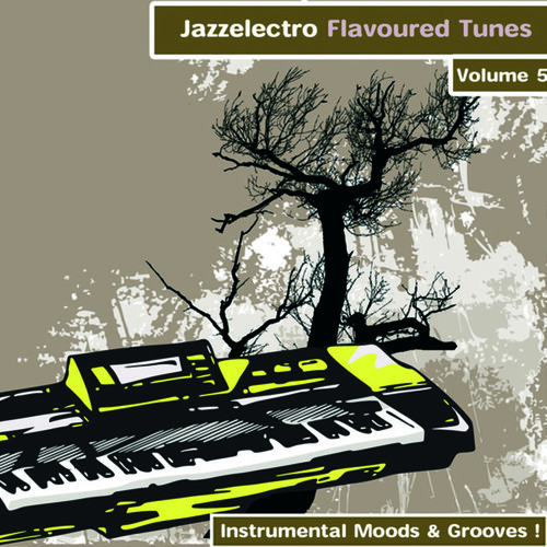 Jazzelectro Flavoured Tunes Vol. 5 - Instrumental Moods & Grooves!