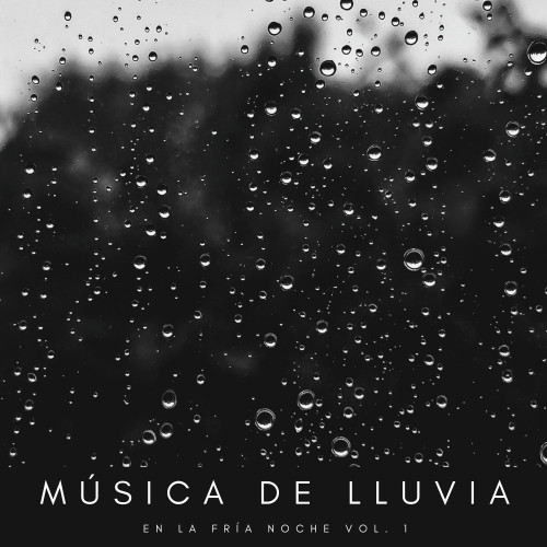 Música De Lluvia En La Fría Noche Vol. 1