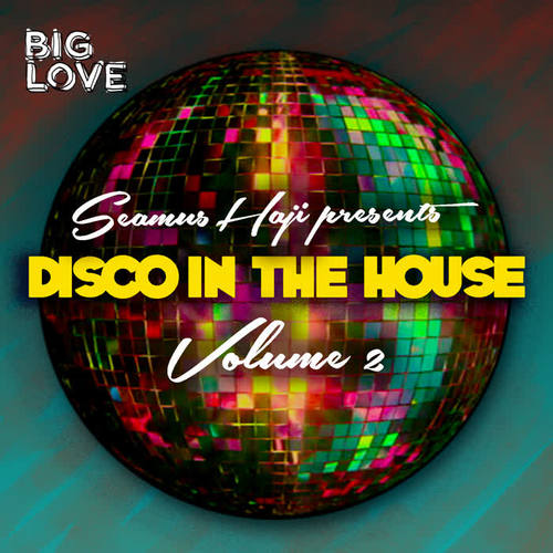 Seamus Haji Presents Disco In The House, Vol. 2