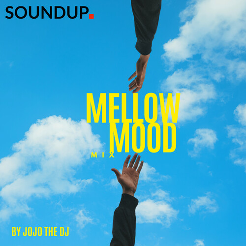 The Mellow Mood Mix (DJ Mix) [Explicit]