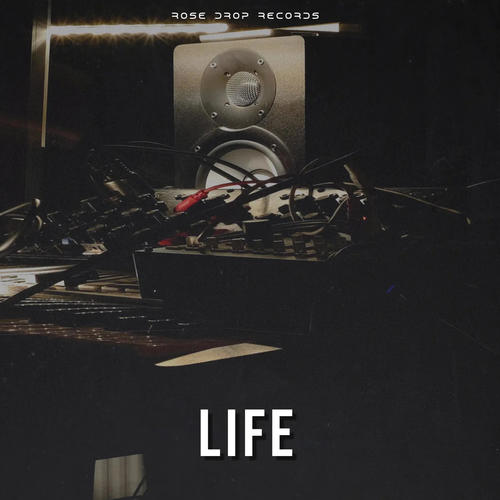 Life (feat. BSB & SevenR)