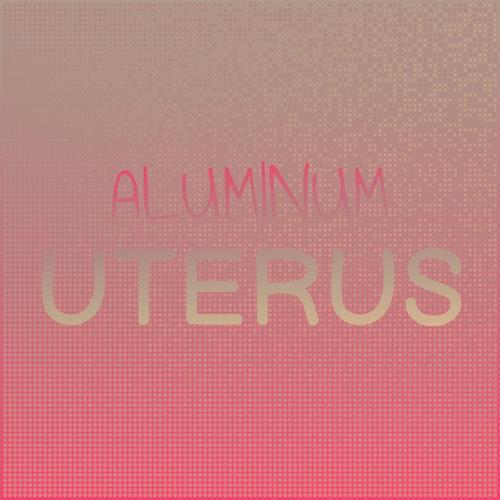 Aluminum Uterus