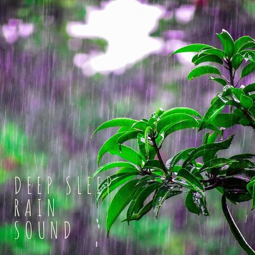 Soft and Steady Rain Sounds (Loopable)