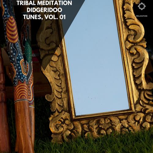 Tribal Meditation Didgeridoo Tunes, Vol. 01