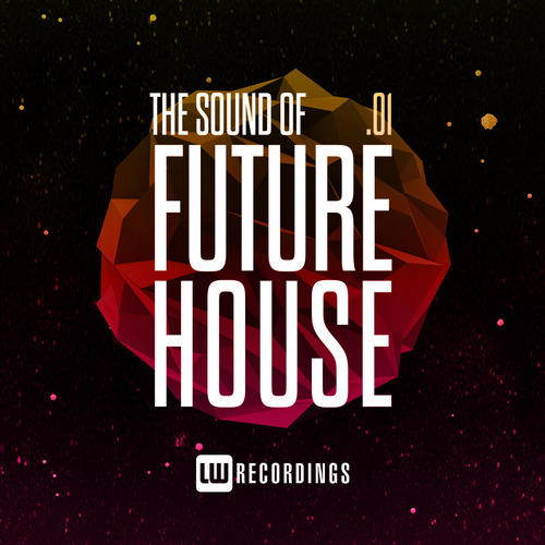 The Sound Of Future House, Vol. 01