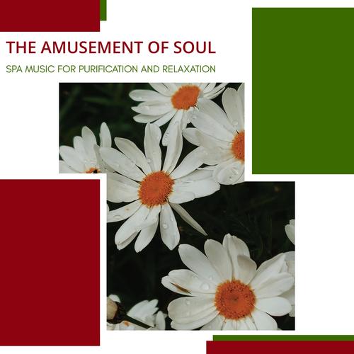 The Amusement Of Soul - Spa Music For Purification And Relaxation