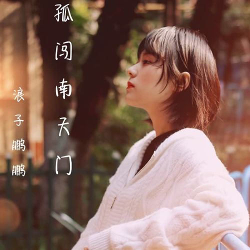 孤闯南天门